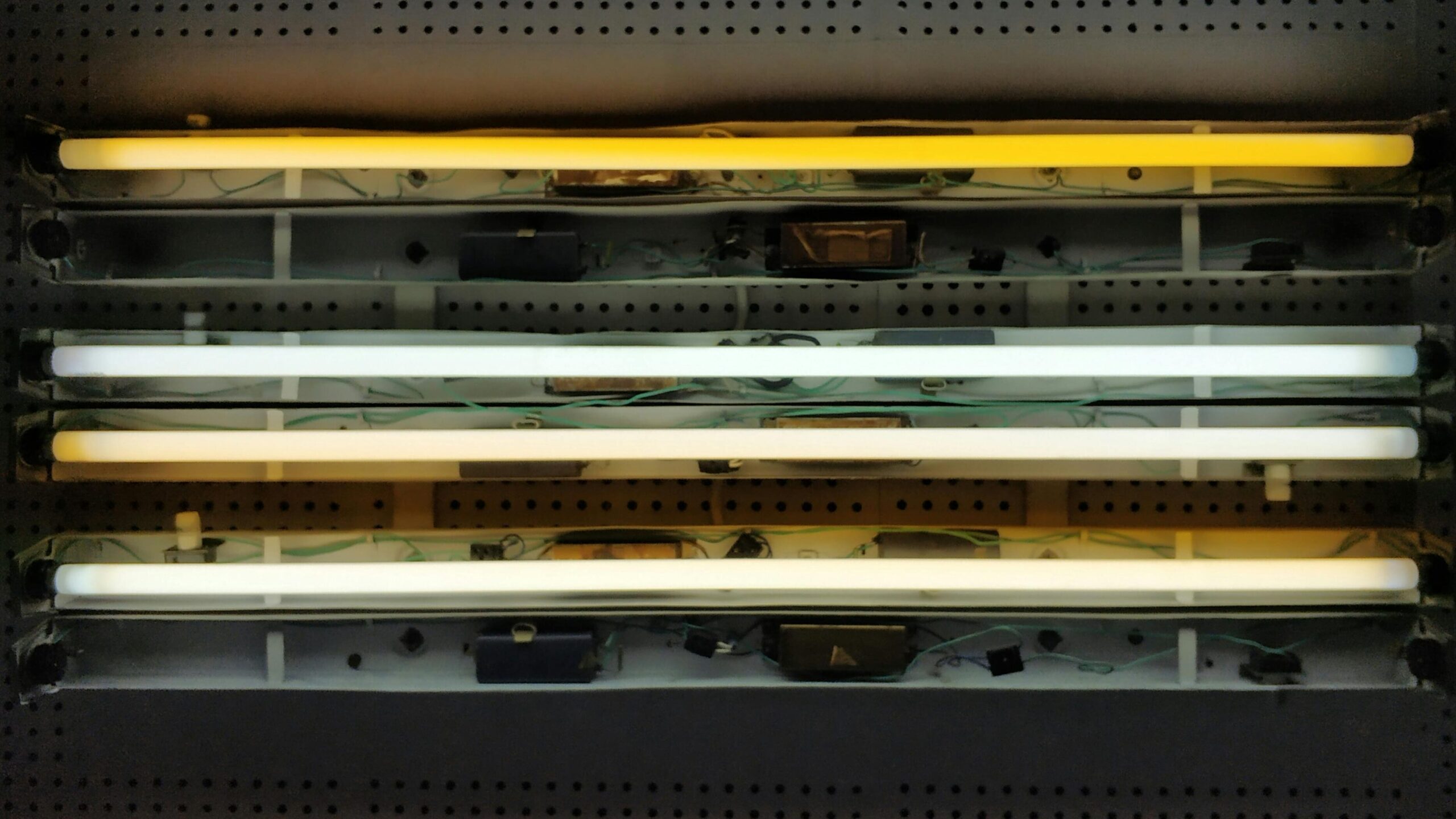 4 fluorescent light bulbs that are being phased out. 