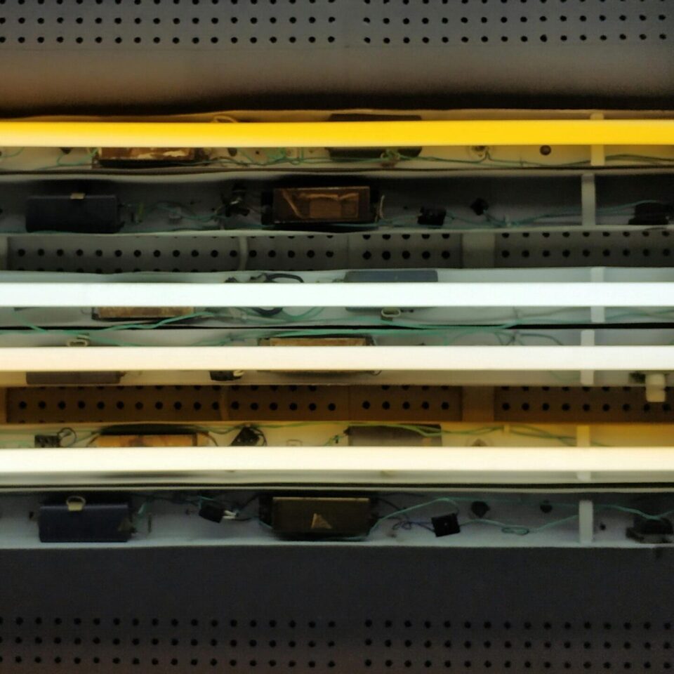 4 fluorescent light bulbs